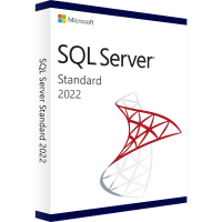 Microsoft SQL Server 2022 Standard Microsoft SQL Server 2022 Standard